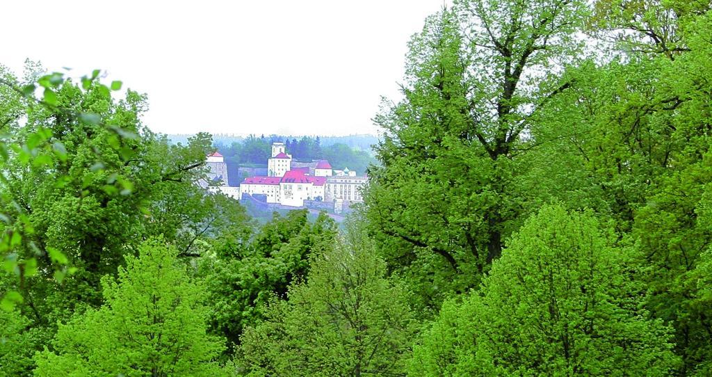 Hotel & Restaurant Waldschloss Passau Dış mekan fotoğraf